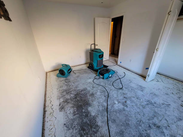 Best Emergency water extraction  in Oxford, PA