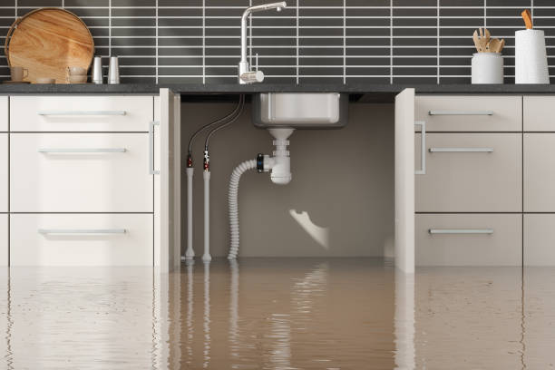 Best Commercial water damage restoration  in Oxford, PA